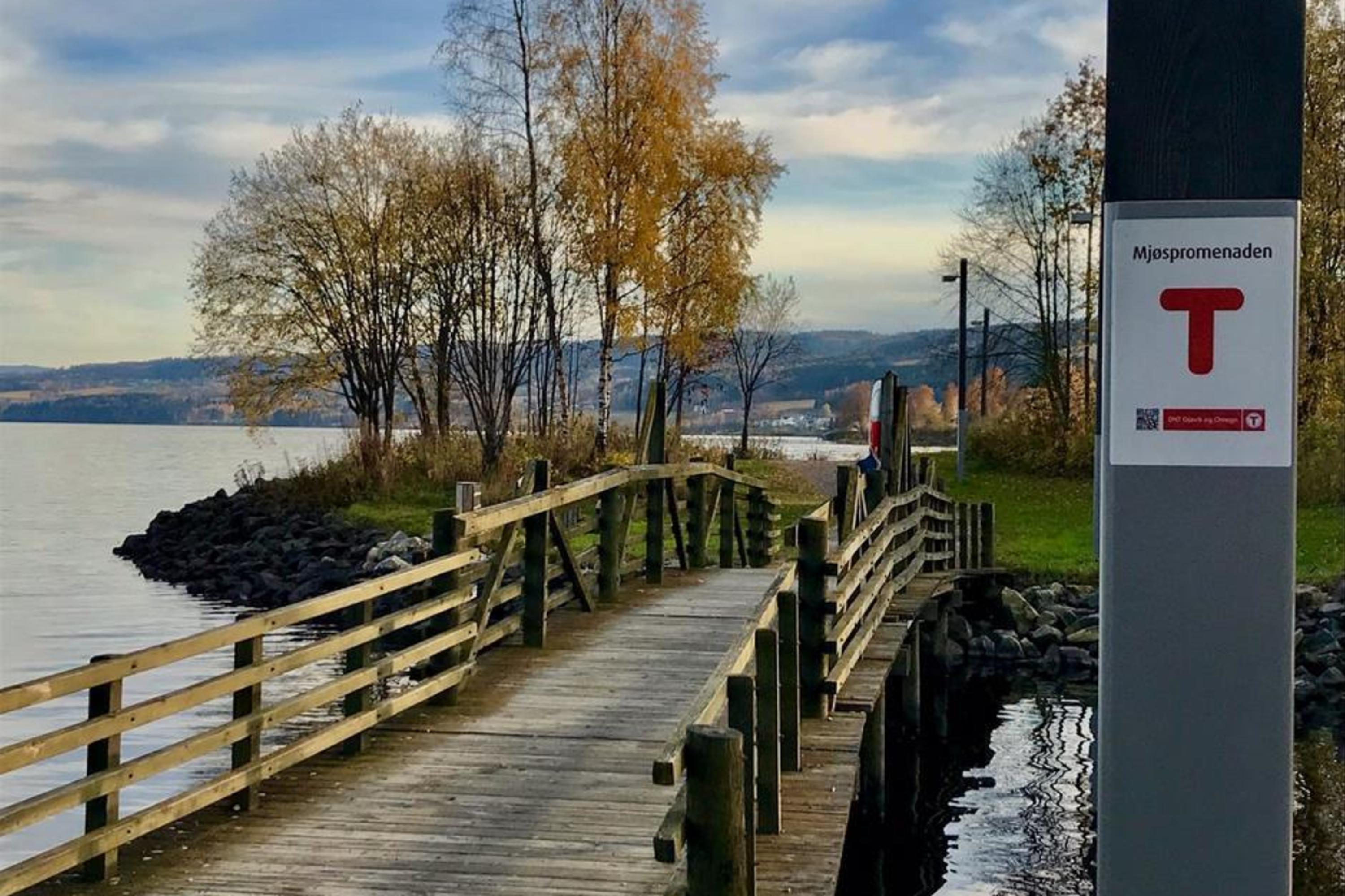 Turstier i Gjøvik - fra byen ut i marka - Visit Øst-Norge
